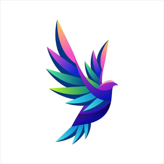 اسپیس ریس
